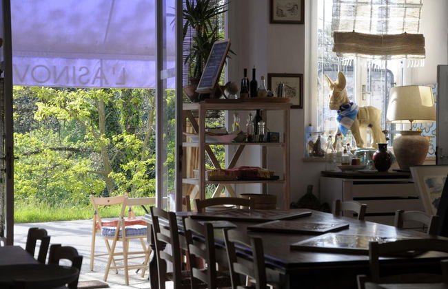 L'Asino Vola - Foto 29