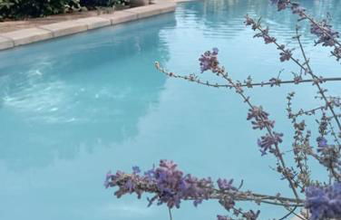 maisonnette provençale piscine le petit colibri - Foto 21