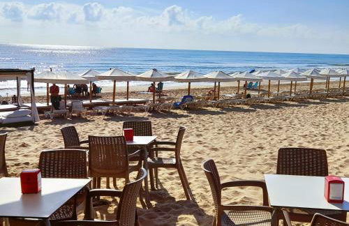 Casa Vikingo - Foto 22