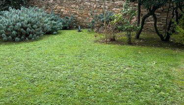 Appartement avec jardin proche gare et plage - Foto 2, Garden view