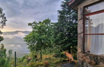 Moradia no Gerês - O Africanista - Foto 21