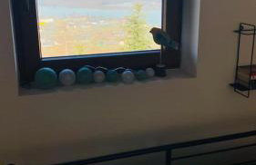 Domek z widokiem na jezioro Rożnowskie - Foto 37