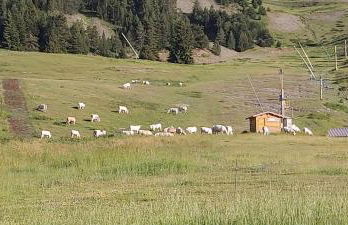 Idéal pour les vacances - Foto 9