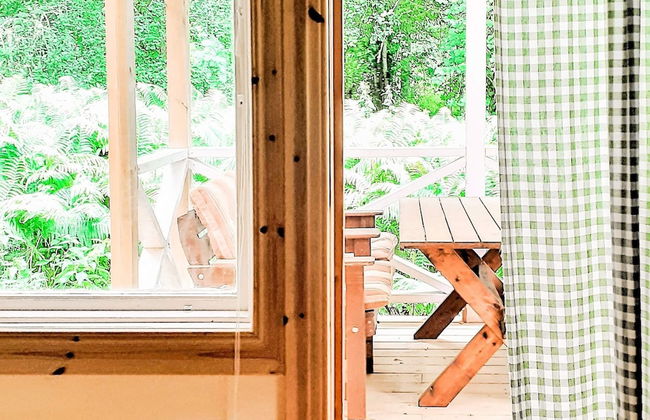 4 Person Holiday Home in Braas - Foto 30