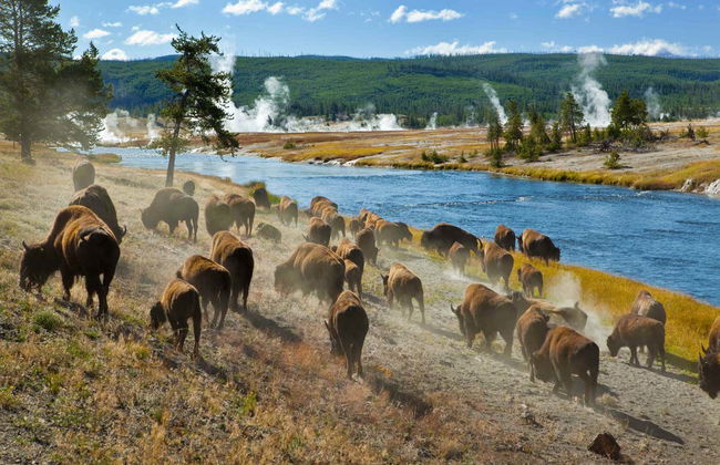 Tour di 4 giorni a Yellowstone e Grand Teton - Foto 6