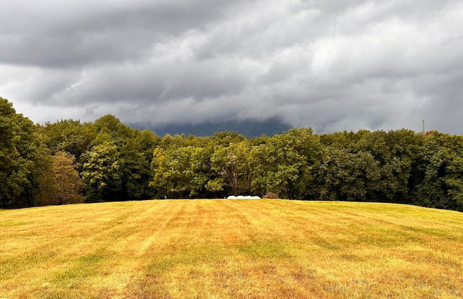 Casa Elvezia - Foto 19