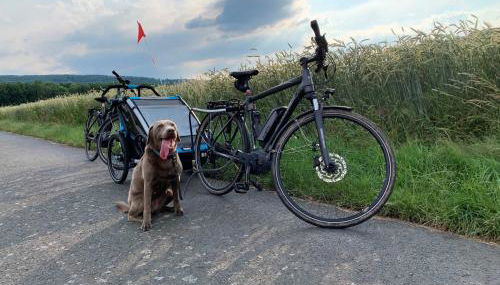 4- Sterne Ferienwohnung Dr Eisenbart - Foto 5