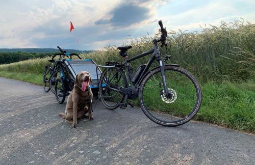 4- Sterne Ferienwohnung Dr Eisenbart - Foto 5