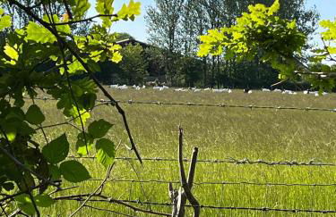 Home from Home in Barcombe East Sussex - Photo 17