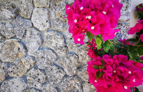 The Mathraki Studios - Foto 18