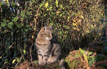 Moja Stay - wyjątkowy dom z sauną - Foto 36
