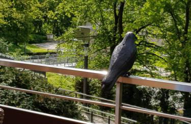 Appartementresidenz am Kurpark Bad Salzuflen - Foto 15