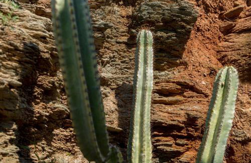 MEGAS GIALOS HARMONY - Foto 58