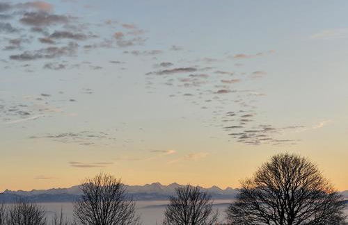 Blackforest Perla - Foto 22