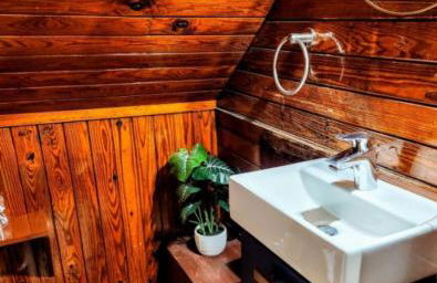 The Cabin - 2 Br 1 Ba Apt Near Downtown - Foto 12