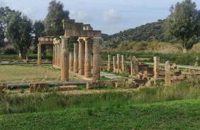 Urbi Garden - Foto 49