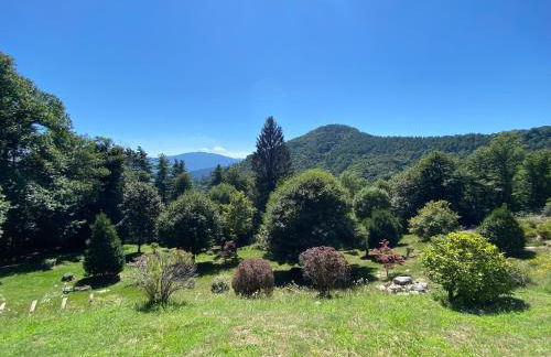 Appartamento Bianca - Foto 31