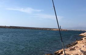 villa cinco palmas - Foto 76