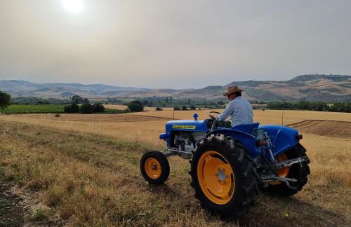 Agriturismo Essentia dimora rurale - Foto 117