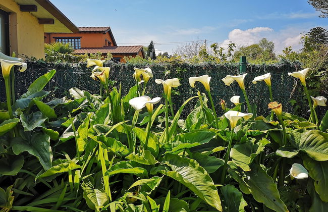 Apartamentos Rurales Villa de Saín - Foto 46