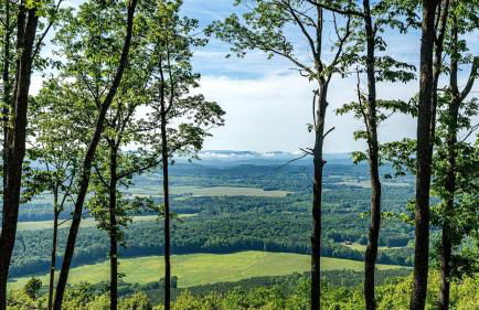 Peaceful Mountain Tiny Home with Breathtaking Valley Views & Fireplace Near Lookout Mountain, Menlo GA - Foto 29