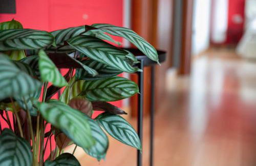 Castello Lovere appartamenti - Foto 32