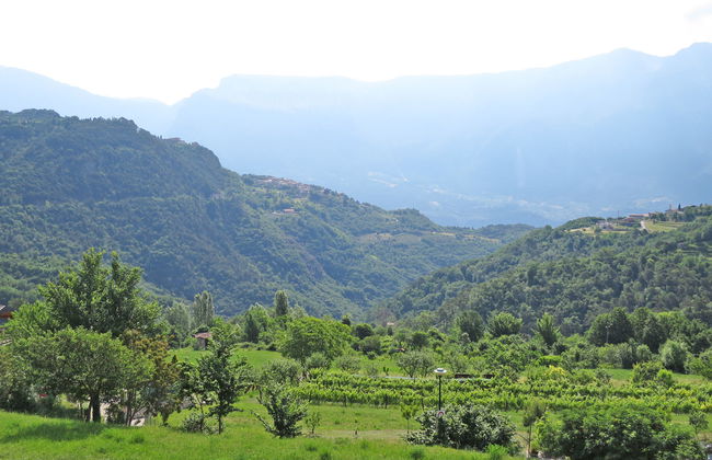 La Tartufaia - Foto 18