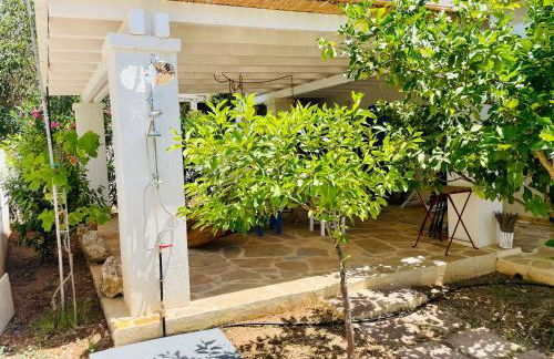 OctopusGarden Apartments Porto Cheli - Foto 43