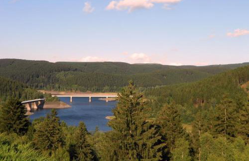 Ferienwohnung im Harz-Haus-Bruns - Foto 60