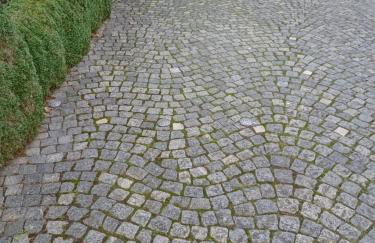 Gemütlichkeit über der Weinrebe- 3Zi. Zi. Fewo. - Foto 15