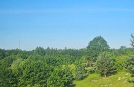 Leśne Sny - Kretowiny - Foto 16