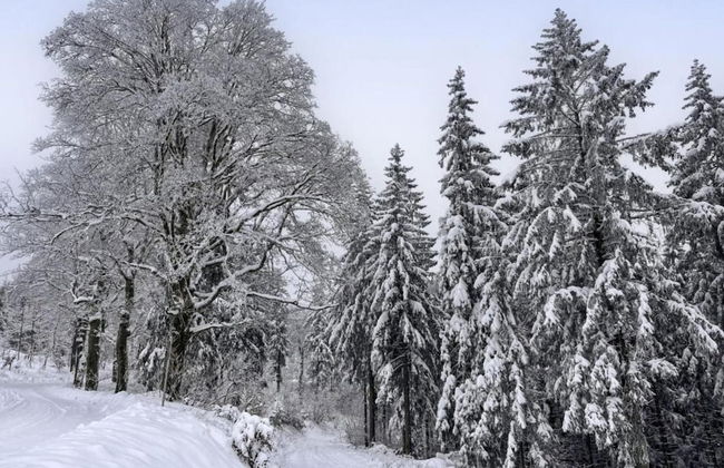 Holiday Home in Suhl Near Rennsteig Trail - Foto 26