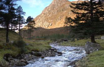 Rosemount Bothy - Highland Cottage - Foto 67
