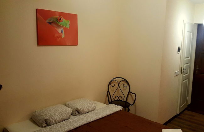 Orange Studio - Photo 8