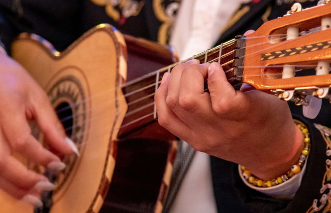 Espectáculo de mariachis en la Plaza Garibaldi - Foto 7