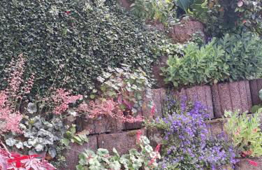 Mosel-Ferienwohnung Berhard - Foto 2