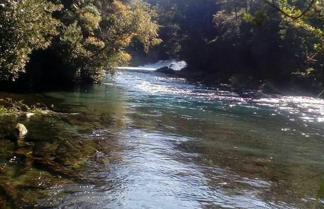 Cabana 4 Personas En Hermoso Paisaje En Pucon - Foto 27
