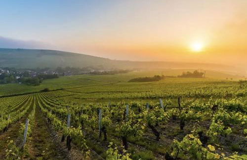 Chez Jeannette - Foto 17