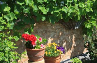 Fewo Am Geyersberg - Foto 19