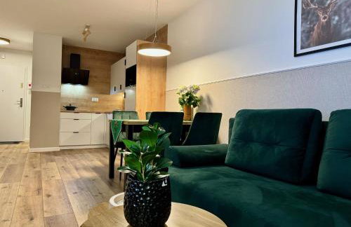 Panorama Karkonoszy - Apartamenty KOMFORT z widokiem na Śnieżkę i Aquapark - Photo 10