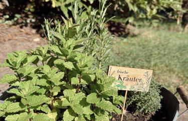 Moorhus Worpswede - Foto 14