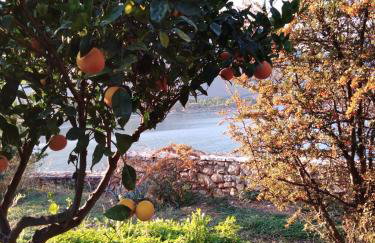 Aphrodite's Coast Retreat House! - Photo 59