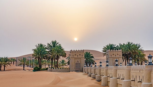 Private Liwa Full Day Desert Safari para parejas - Foto 5