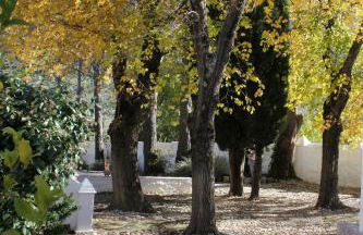 Cortijo Abril - Foto 45