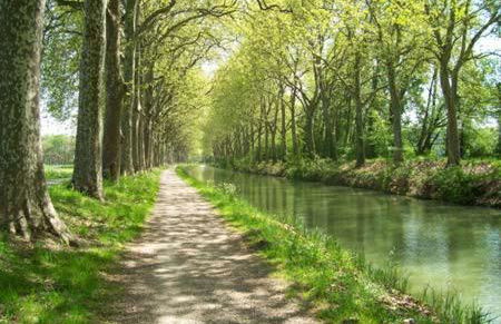 Un coin de campagne à 4km de la mer pour 4 à 6 personnes - Foto 1