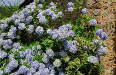 Casa Candidita - Foto 34