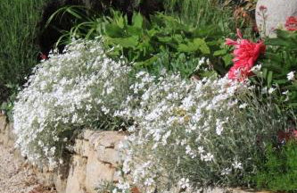 Apartments with a parking space Presika, Labin - 7617 - Foto 11