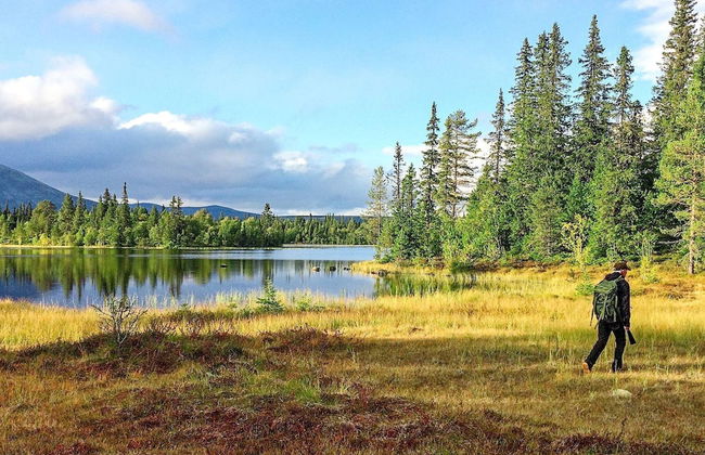 4 Person Holiday Home in Hemsedal - Foto 14