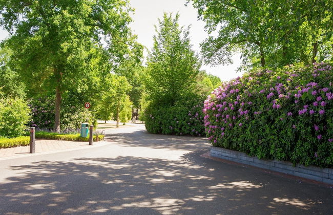 Lodge in Brabant With Cozy Covered Terrace - Photo 33