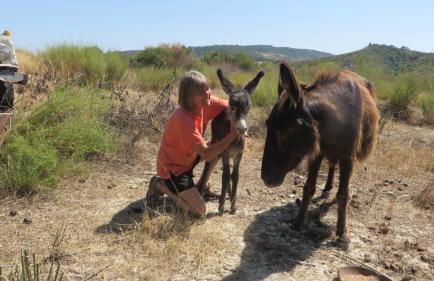 Fattoria Armonia - Foto 14